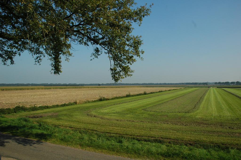 Huize Ouwervelden Bed & Breakfast Wouwsche Plantage Exterior foto